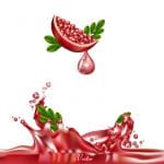 وکتور طرح واقعی انار pomegranate illustration vector