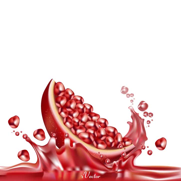 دانلود رایگان وکتور برش انار Download Yalda Night Decoration Pomegranate Melon Drawing vector