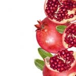 دانلود وکتور طرح انار Pomegranate Vector Image