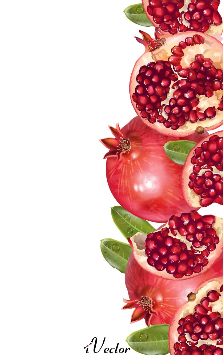 دانلود وکتور طرح انار Pomegranate Vector Image
