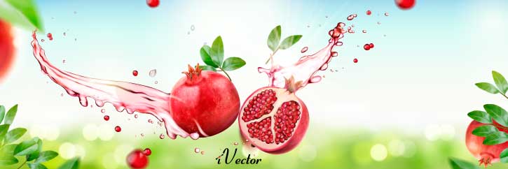 دانلود رایگان وکتور طرح انار, Pomegranate Drawing Vector Art