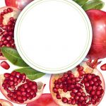 دانلود کادر دایره وکتور طرح انار Pomegranate Border Vector Image