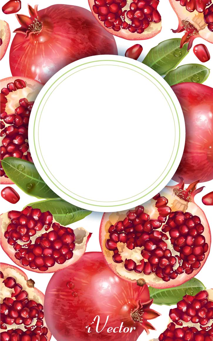 دانلود کادر دایره وکتور طرح انار Pomegranate Border Vector Image
