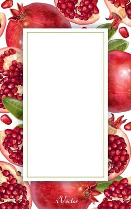 دانلود کادر وکتور طرح انار Pomegranate Border Vector Image