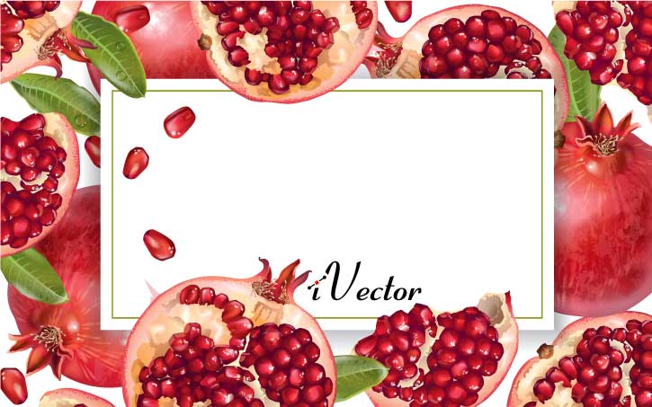 دانلود کادر وکتور طرح انار Pomegranate Royalty Vector Image