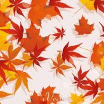 وکتور برگ های پاییزی Autumn Vector Illustration Stock Vector