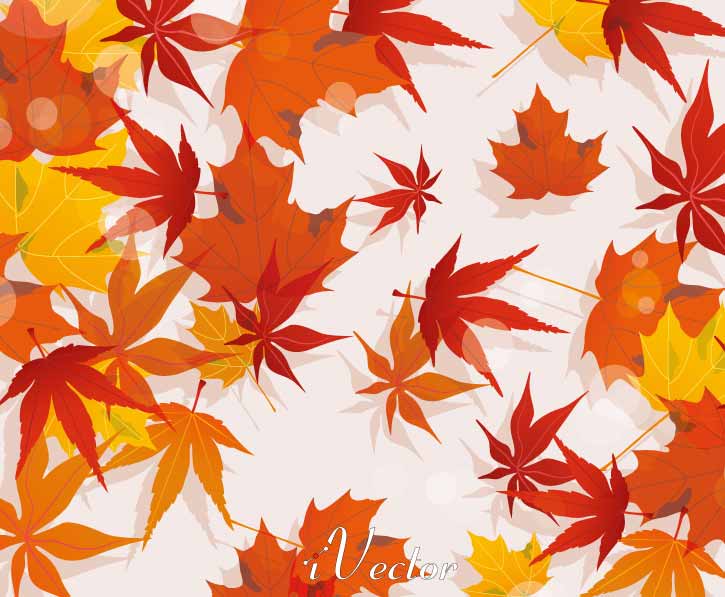 وکتور برگ های پاییزی Autumn Vector Illustration Stock Vector