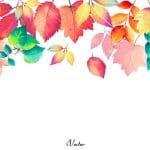 وکتور برگ های رنگی پاییزی Autumn Leaf Free Vector Art