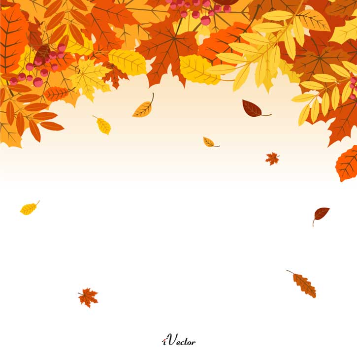 وکتور برگ های رنگی پاییزی Autumn Leaf Free Vector Art