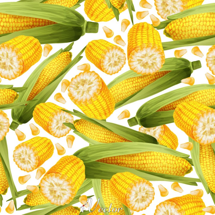 پترن وکتور با طرح ذرت Corn Pattern Free Vector Art