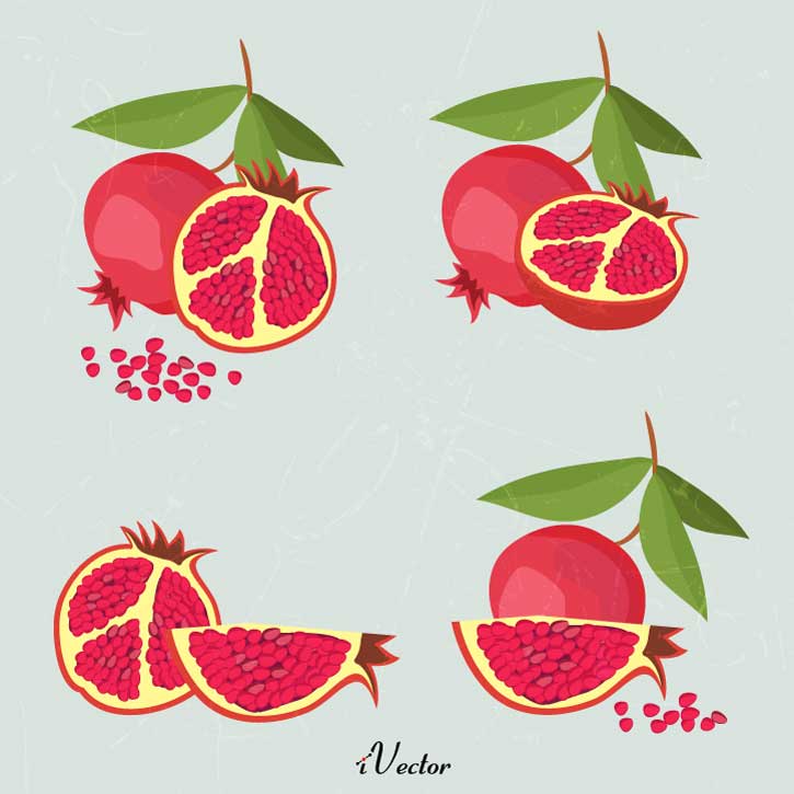 وکتور انار لایه باز در طرح های متفاوت Pomegranate vector free download