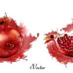 طرح وکتور انار شب یلدا Pomegranate Royalty Free Vector Image