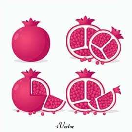 دانلود وکتور انار با کیفیت بالا Pomegranate Vectors