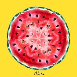 دانلود وکتور برش هندوانه watermelon illustration vector