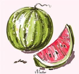 دانلود رایگان وکتور طرح هندوانه Download Yalda Night Decoration Pomegranate Melon Drawing vector