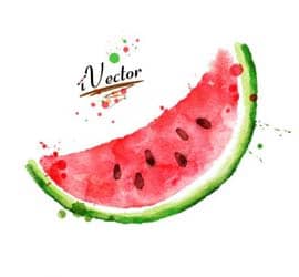 وکتور طرح برش هندوانه شب یلدا watermelon vector Stock Images