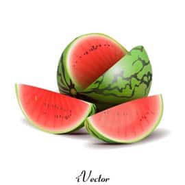 وکتور هندوانه Watermelon Free Vector Art