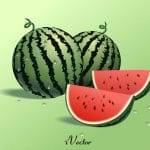 فایل وکتور هندوانه شب یلدا Watermelon Vector Image