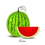 وکتور طرح هندوانه Watermelon Vector