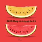 دانلود طرح برش های هندوانه Watermelon Slice free Vector Art